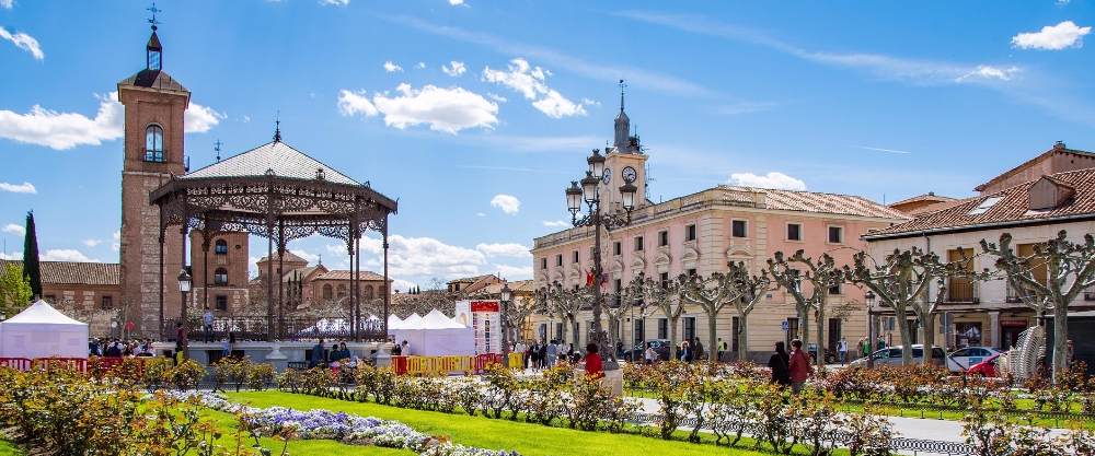 Alcalá de Henares’deki öğrenciler için Erasmus ipuçları ve tavsiyeler