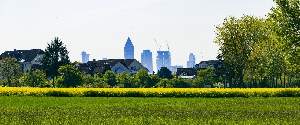 Appartements en colocation et colocataires à Eschborn