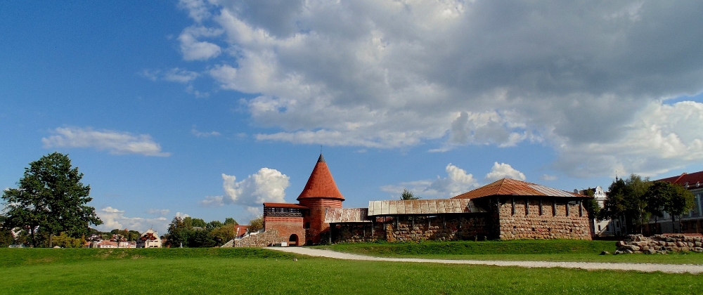 Flats, rooms and residences near the VMU